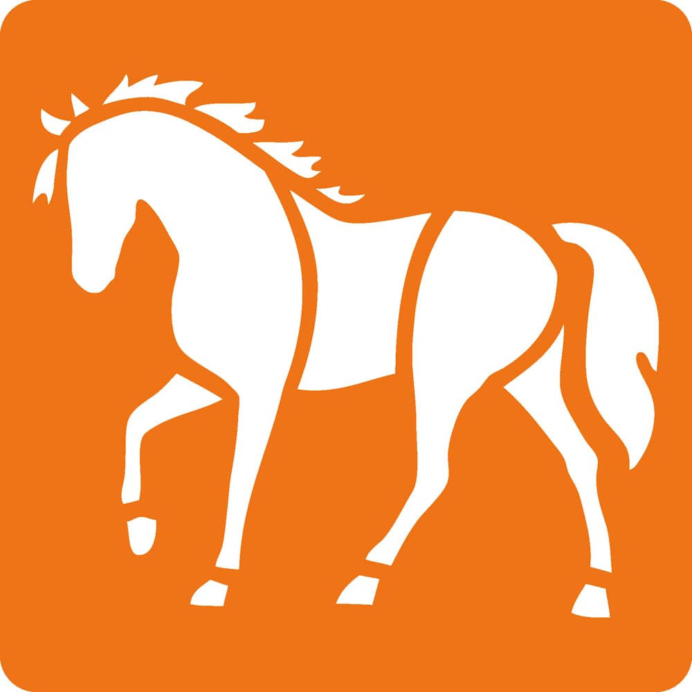 Sjabloon van een paard