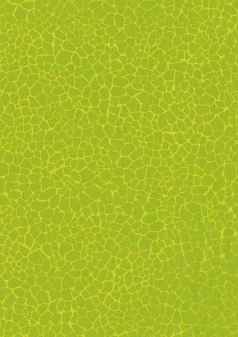giraf print groen decopatch papier