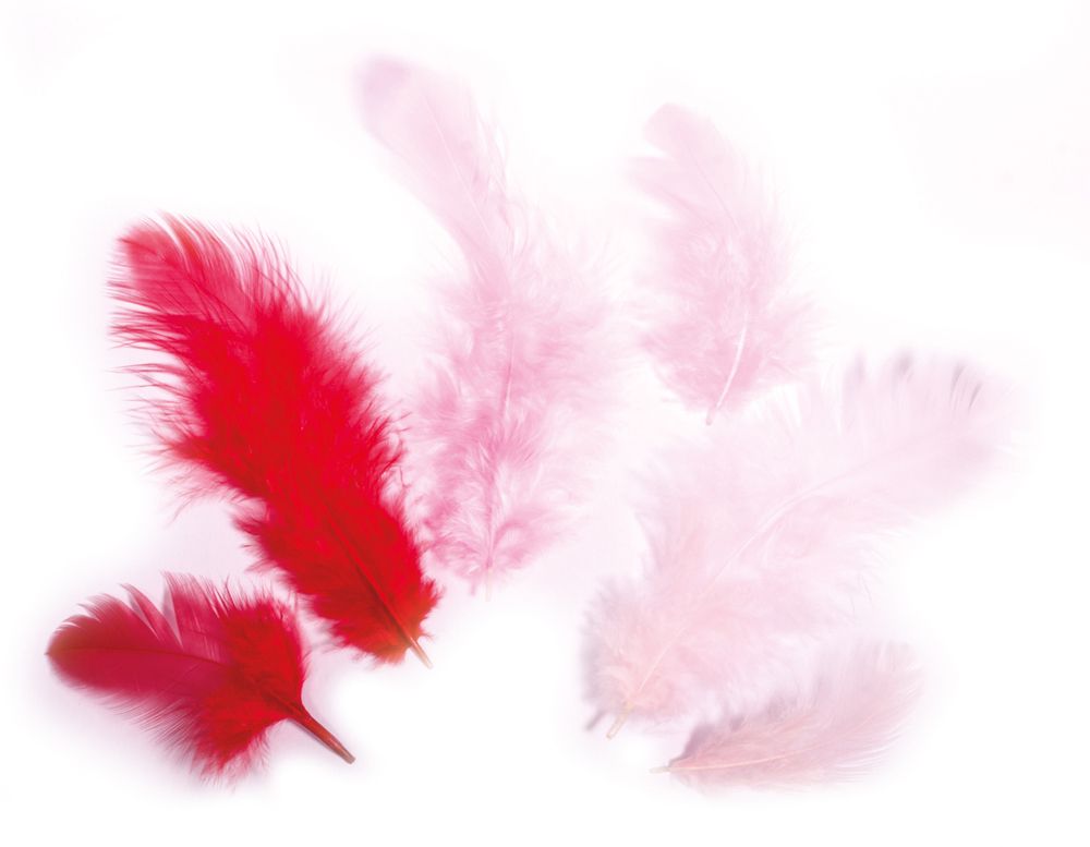Roze en Rode veren Rayher